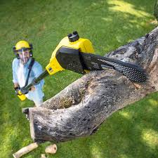 Best Artificial Turf Installation  in Thermalito, CA